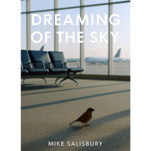 Dreaming of the Sky